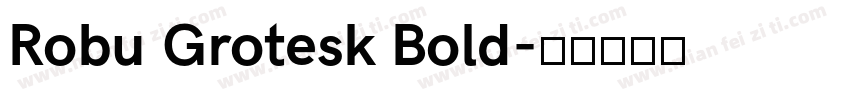 Robu Grotesk Bold字体转换